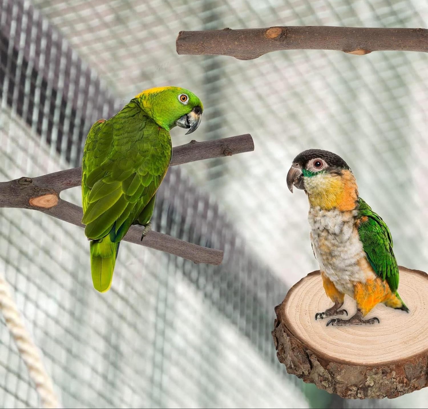 Allazone Natur Sitzstangen Vögel, 7 Stück Natürlicher Sitzstangen Für Vögel Holz, Sitzstangen Vögel, Vögel Spielzeug Vogel Papagei Schaukel Spielzeug