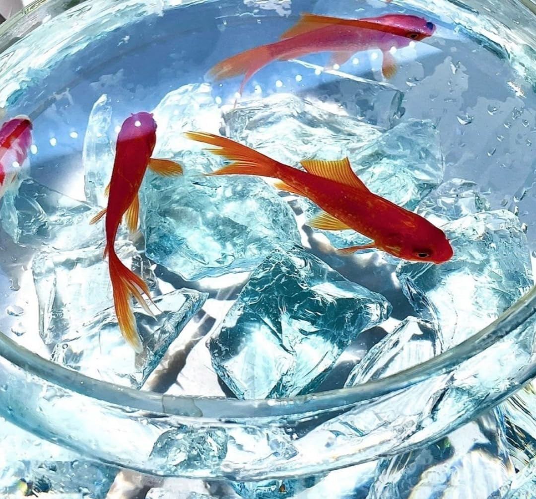 Aquarium, Aquarium Steine, Aquarium Höhle Naturstein, Aquarium Kies Aquarium Dekoration Glasstein 800G, Fischo Rnamente, Garnelenversteck, Geeignet Für Aquarien Aller Größen