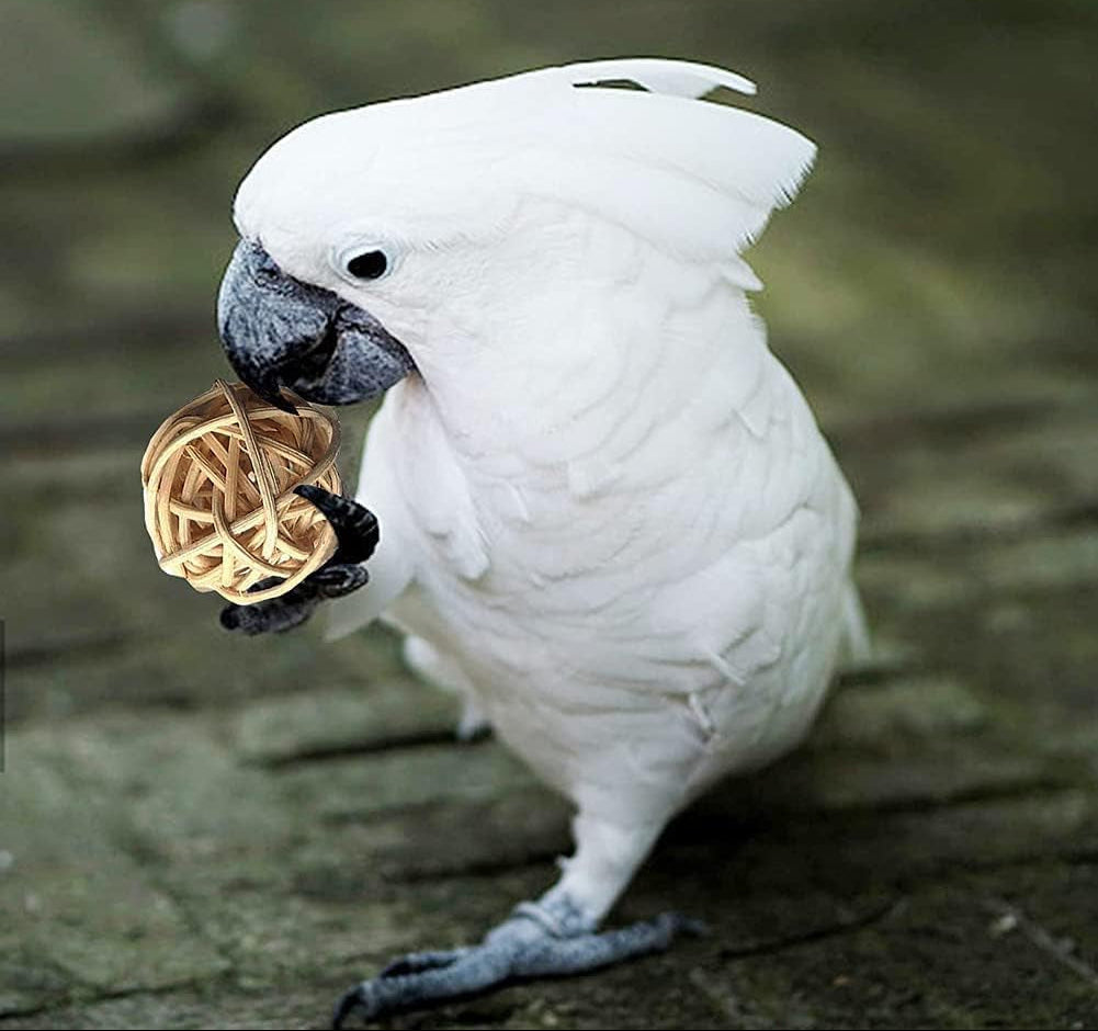 Vogel-Papageien-Spielzeug, Zum Aufhängen, 18 Stück, Vogelkäfig-Zubehör, Spielzeug, Barsch, Leiter, Kauspielzeug, Hängematte Für Sittiche, Liebesvögel, Finken Und Andere Kleine Haustiere