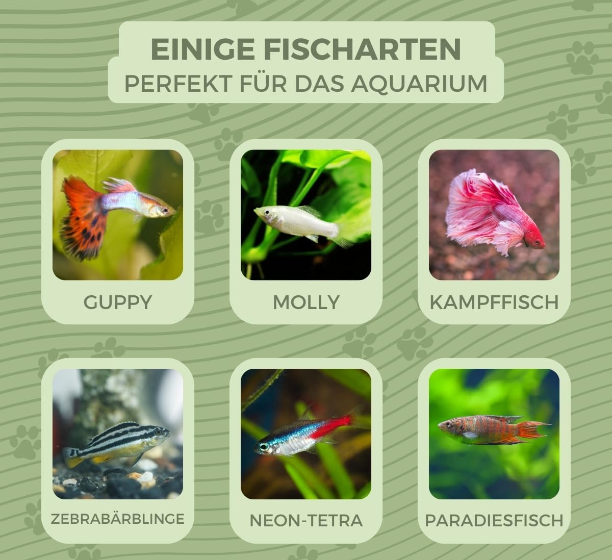 Nemo Ball Aquarium 4L