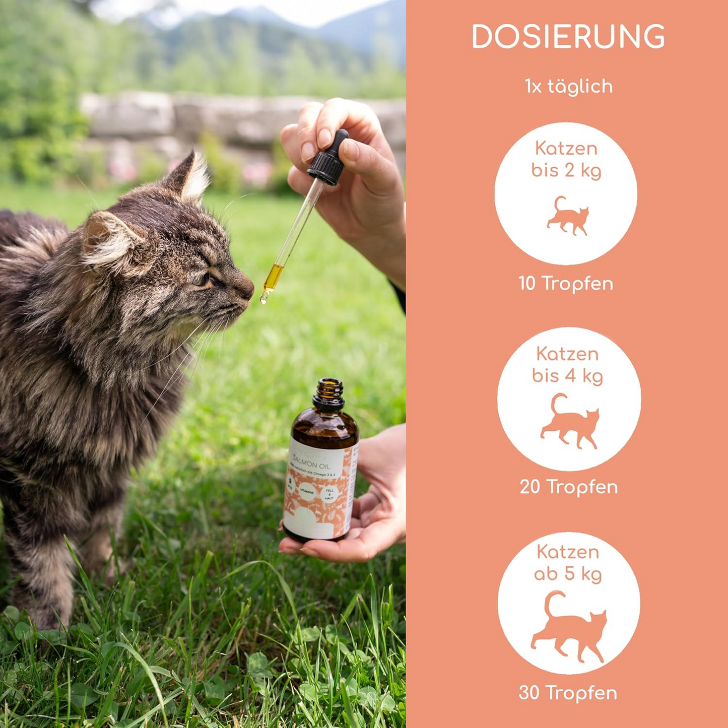 Fur And Skin Oil for Cats